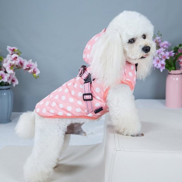 Pet dot warm Jacket